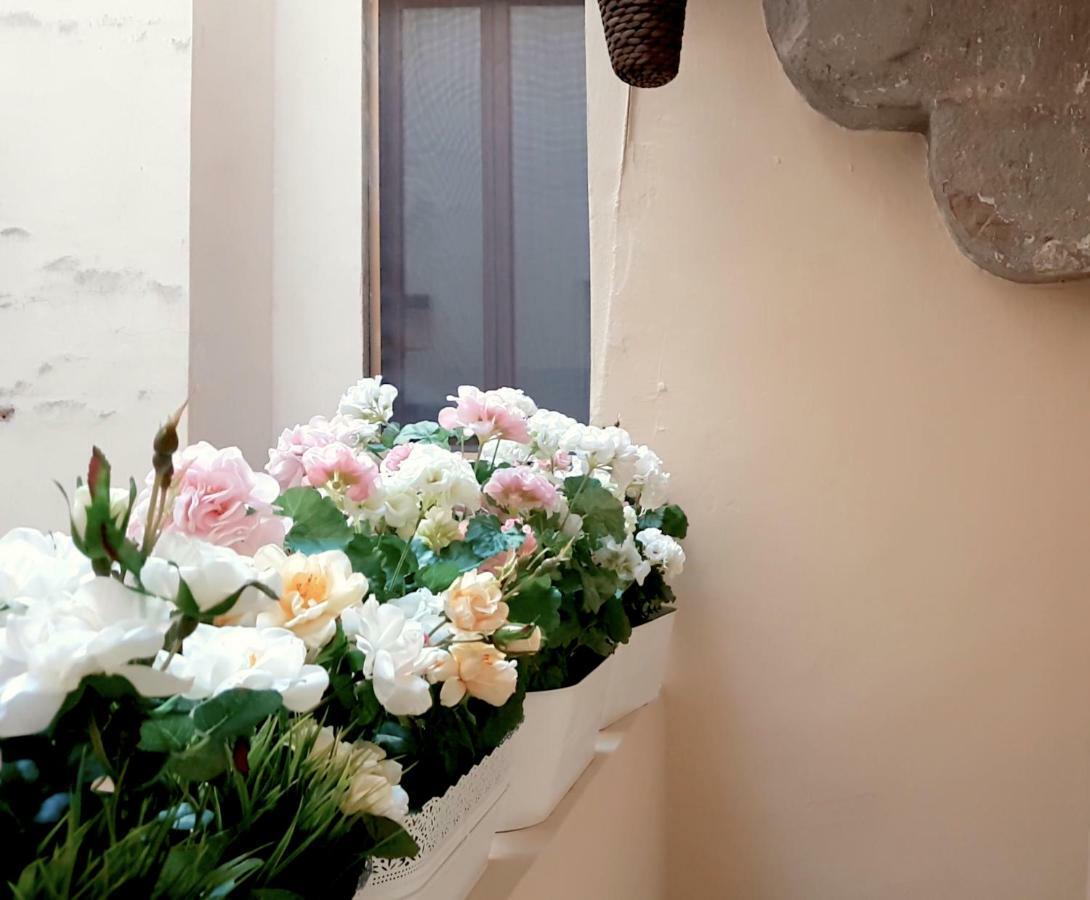 Velvet Loft - Santo Spirito Apartment フィレンツェ エクステリア 写真